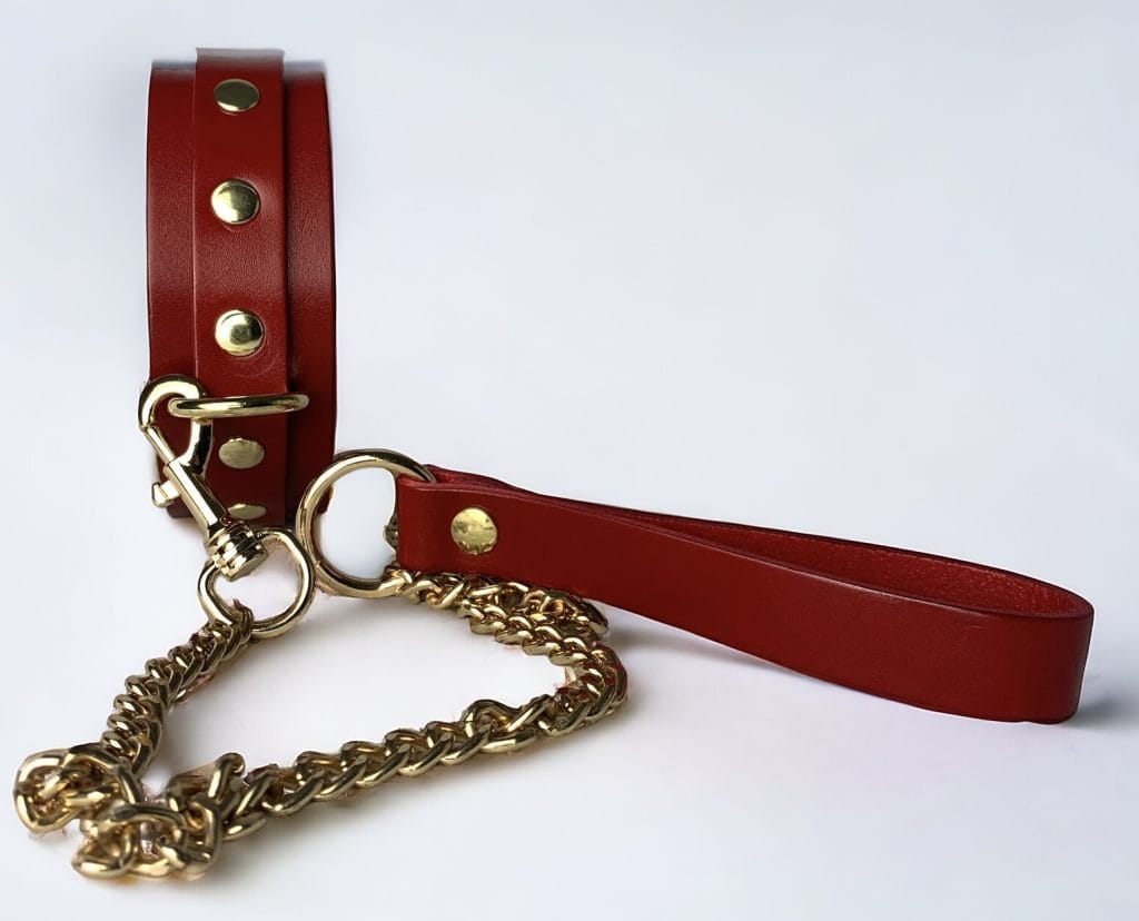 BDSM Day Collar